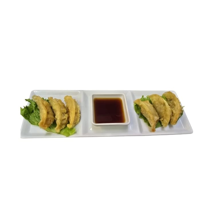 Savor Our Gyoza